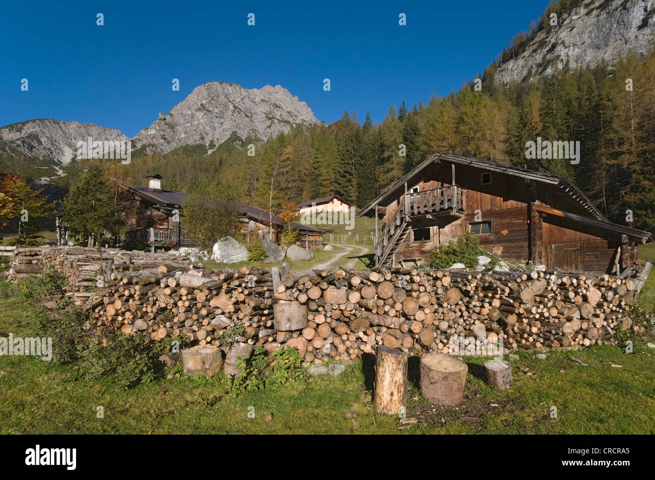 Stallenbach-Alm, Alm, Stallental Tal, Vomp, Tirol, Österreich, Europa Stockfoto