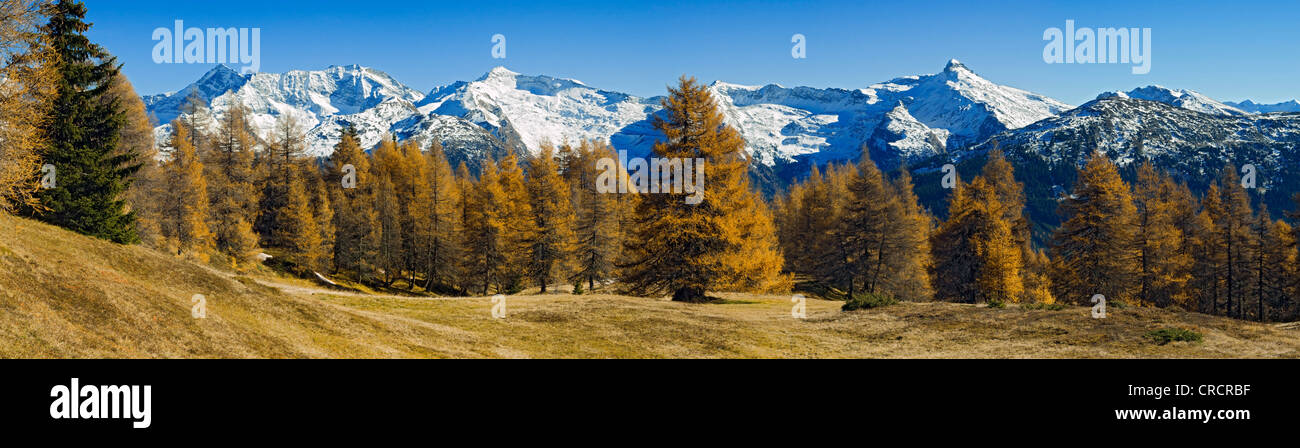 Lärchenwiesen mit Fussstein, Schrammacher, Sagwandspitze, Kraxentrager, Wildseespitze, Vinaders und Obernberg Berge hinten Stockfoto