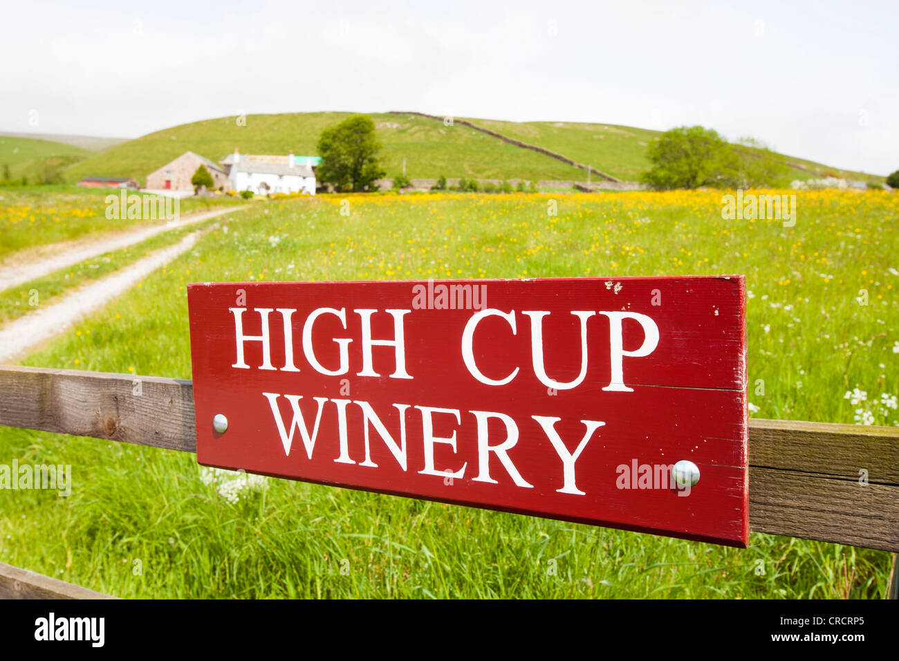 Hohe Tasse Weingut in North Pennines, Eden Valley, Cumbria, England. Sie würde nicht Nordengland Weinproduktion zuordnen, Stockfoto