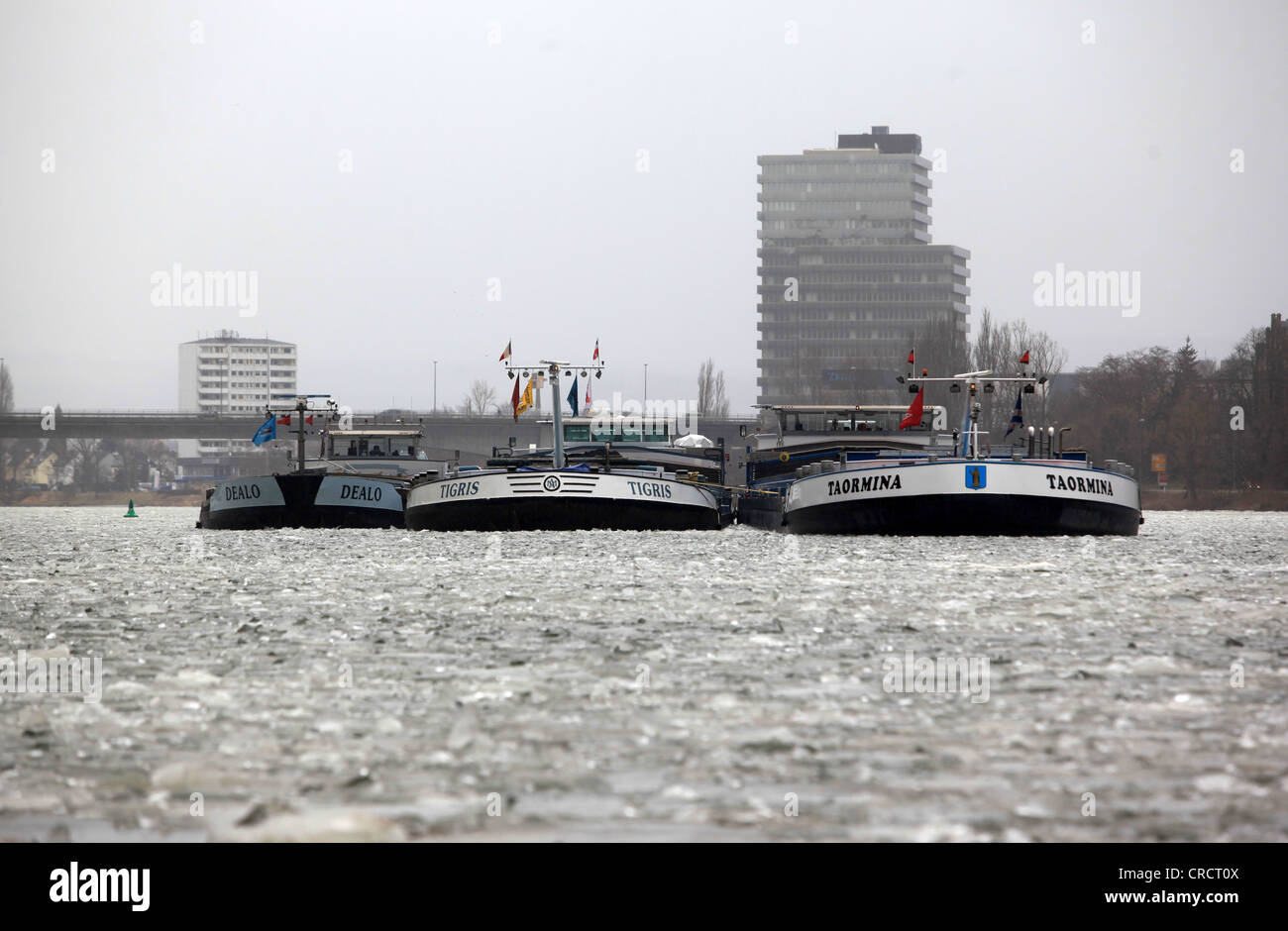 Frachtschiffe stecken in das Eis an der Mosel bei Guels, Koblenz, Rheinland-Pfalz, Deutschland, Europa Stockfoto