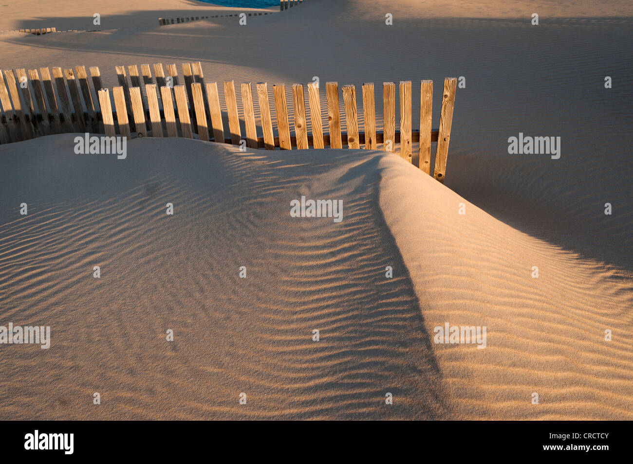 Holzzaun Sanddünen vor Wind zu schützen. Stockfoto