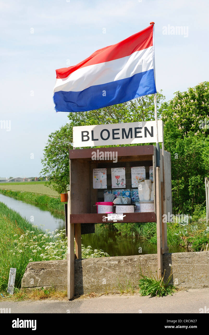 Blume-Verkaufsstand am Straßenrand mit Nationalflagge, Den Helder, Niederlande, Niederlande Stockfoto