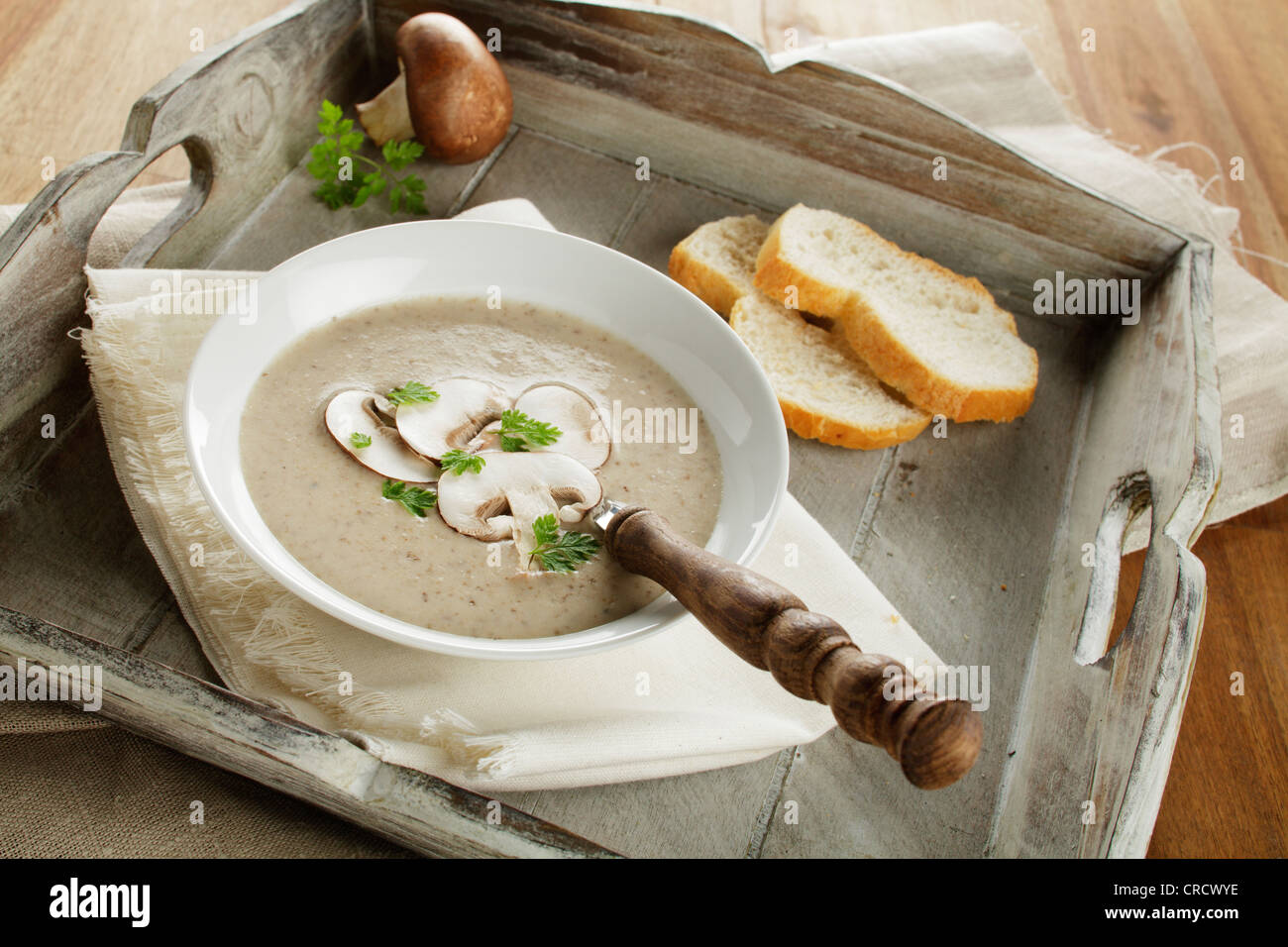 Creme der Pilzsuppe mit Scheiben Weißbrot Stockfoto