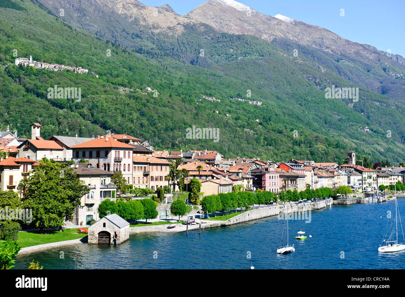 Aussicht von Cannobio, Pino Lago Maggiore, Punkt des Sees mit Alpen im Rücken Boden, Lago Maggiore, italienische Seen, Italien Stockfoto