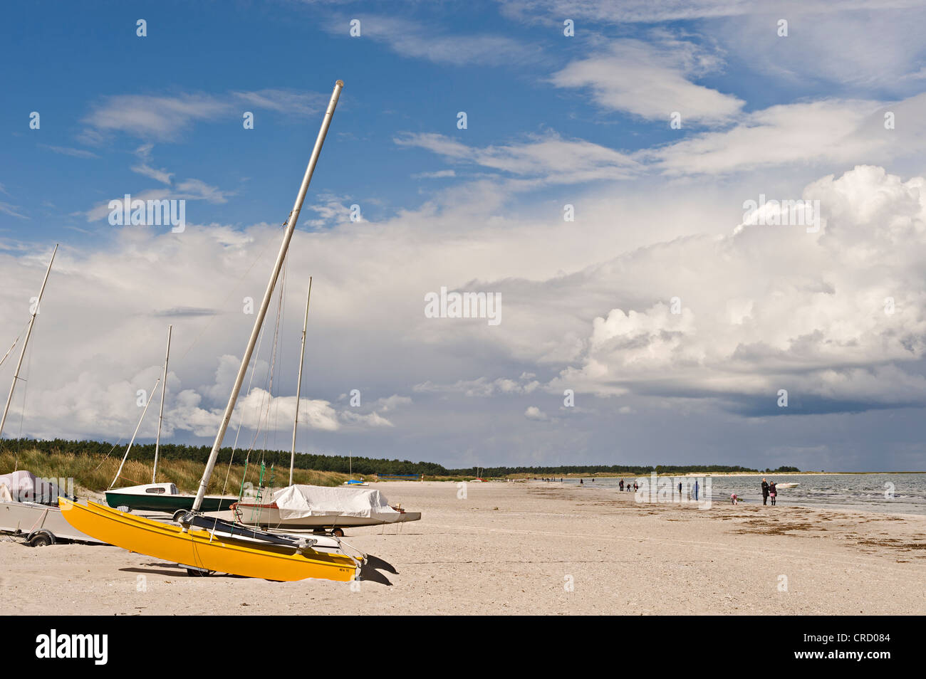 Boot am Strand, Ostseebad Prerow, Darß, Mecklenburg-Western Pomerania, Deutschland, Europa Stockfoto