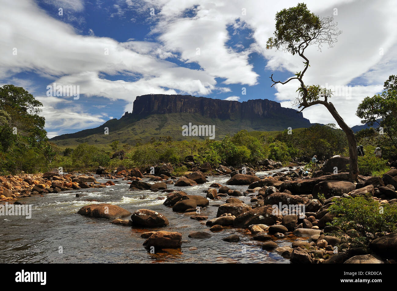 Fluss vor dem kukunan Tafelberg, Trail auf den Roraima Tafelberg, den höchsten Berg Brasiliens Stockfoto