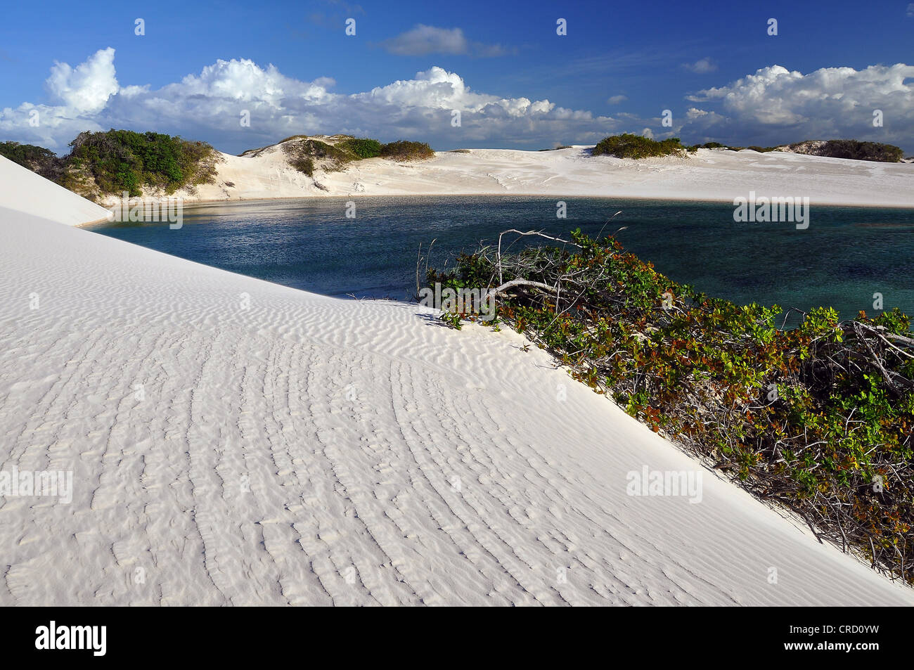 Kristallklaren Lagune in der Wüste von Lençóis Maranhenses, Maranhão, Brasilien, Südamerika Stockfoto