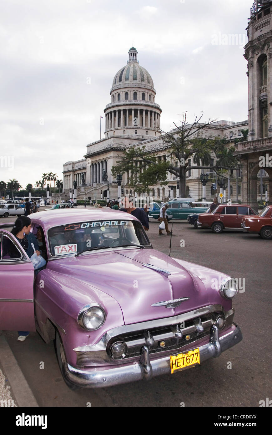 Oldtimer vor dem Capitol, Capitolio, Kuba, Karibik, La Habana Stockfoto