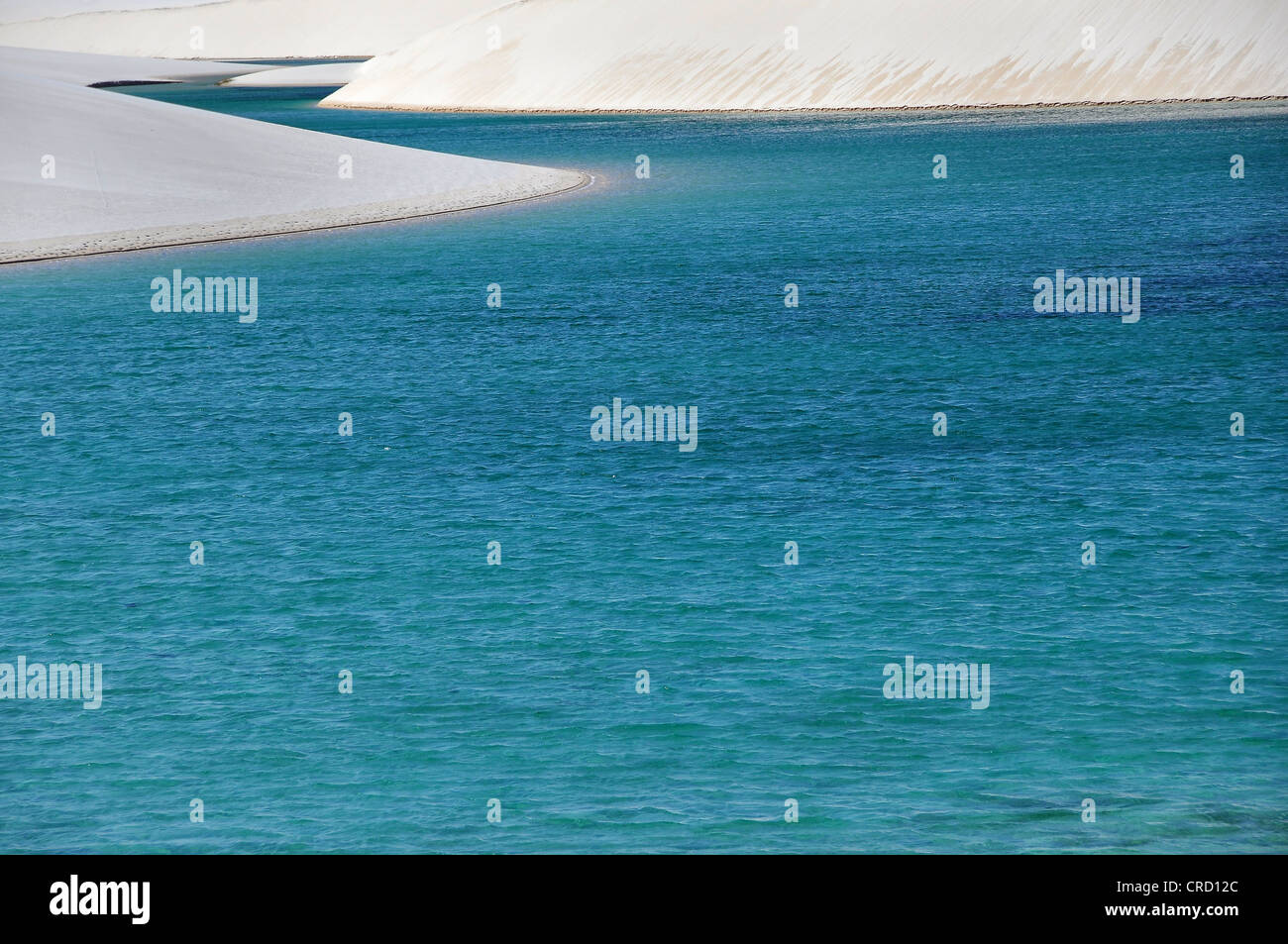 Kristallklaren Lagune in der Wüste von Lençóis Maranhenses, Maranhão, Brasilien, Südamerika Stockfoto