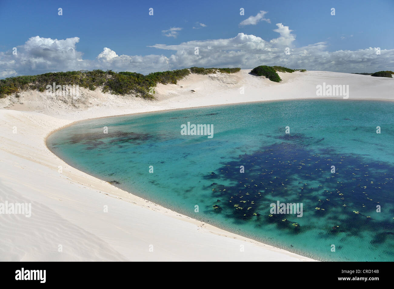 Kristallklaren Lagune in der Wüste von Lençóis Maranhenses, Maranhão, Brasilien, Südamerika Stockfoto