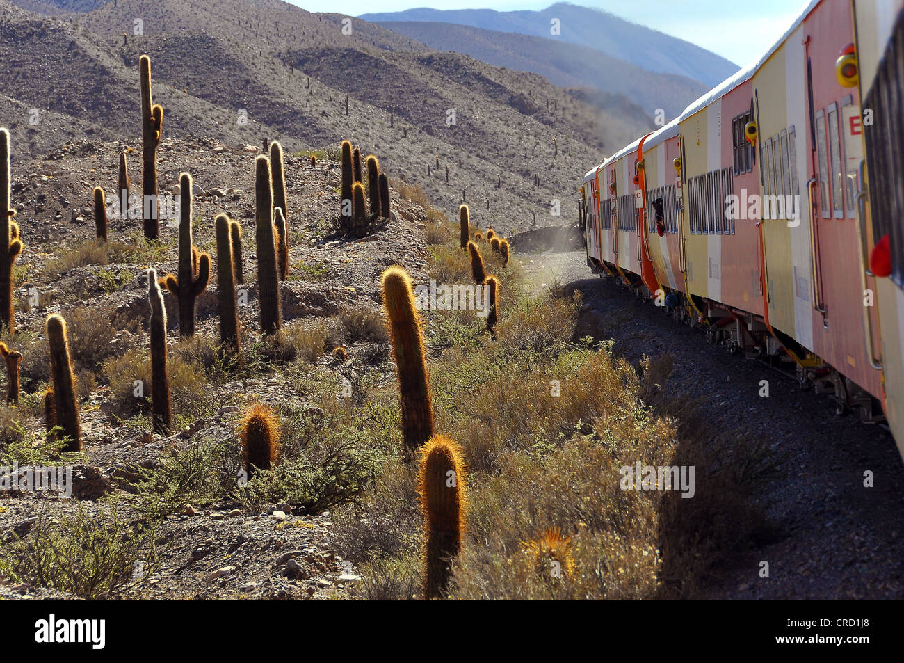 Tren a Las Nubes, "dem Zug in die Wolken", Salta, Argentinien, Südamerika Stockfoto