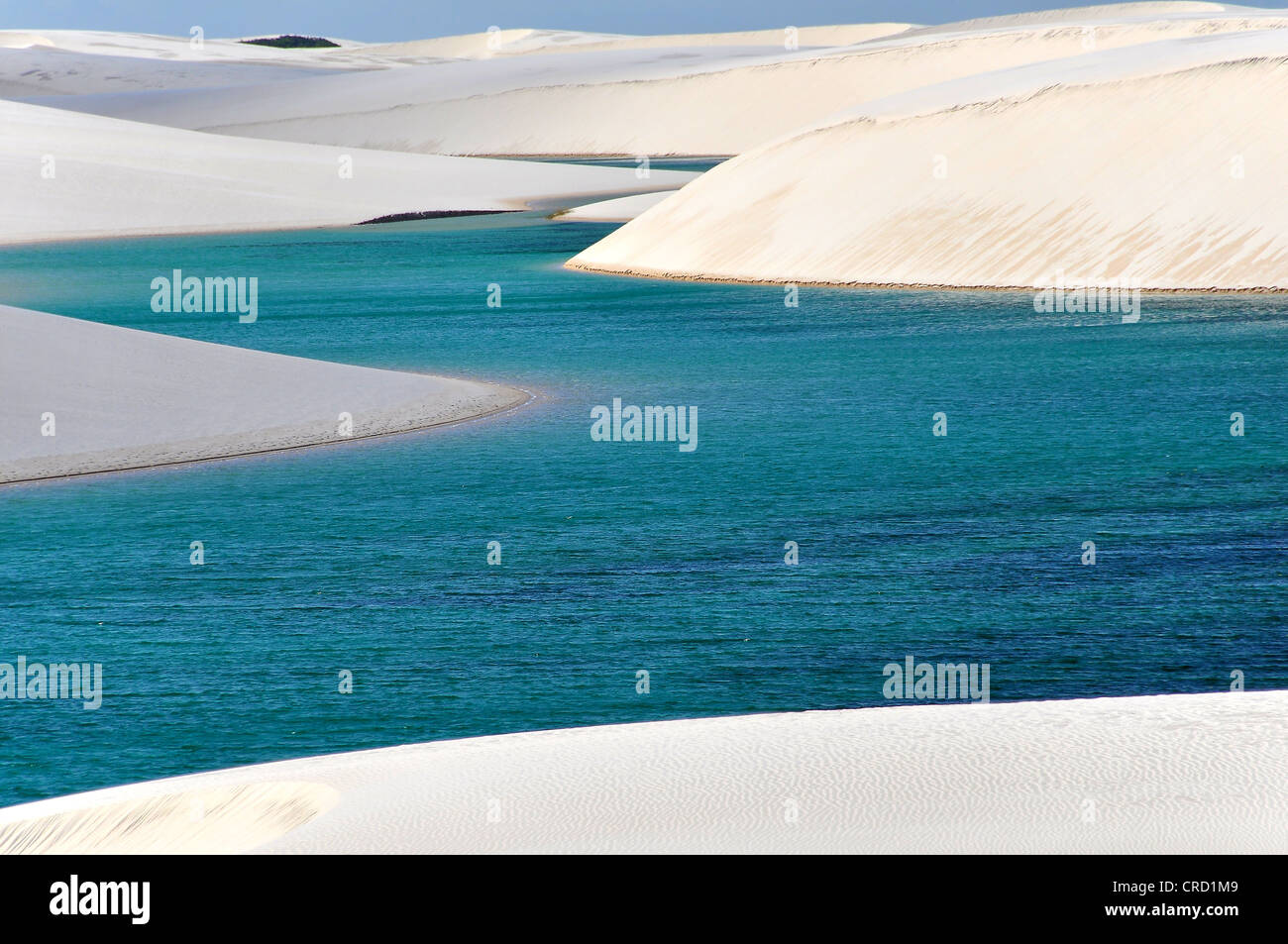 Türkisblauen Lagunen in der sandwüste von De lençois Maranhenses, Maranhão, Brasilien, Südamerika Stockfoto