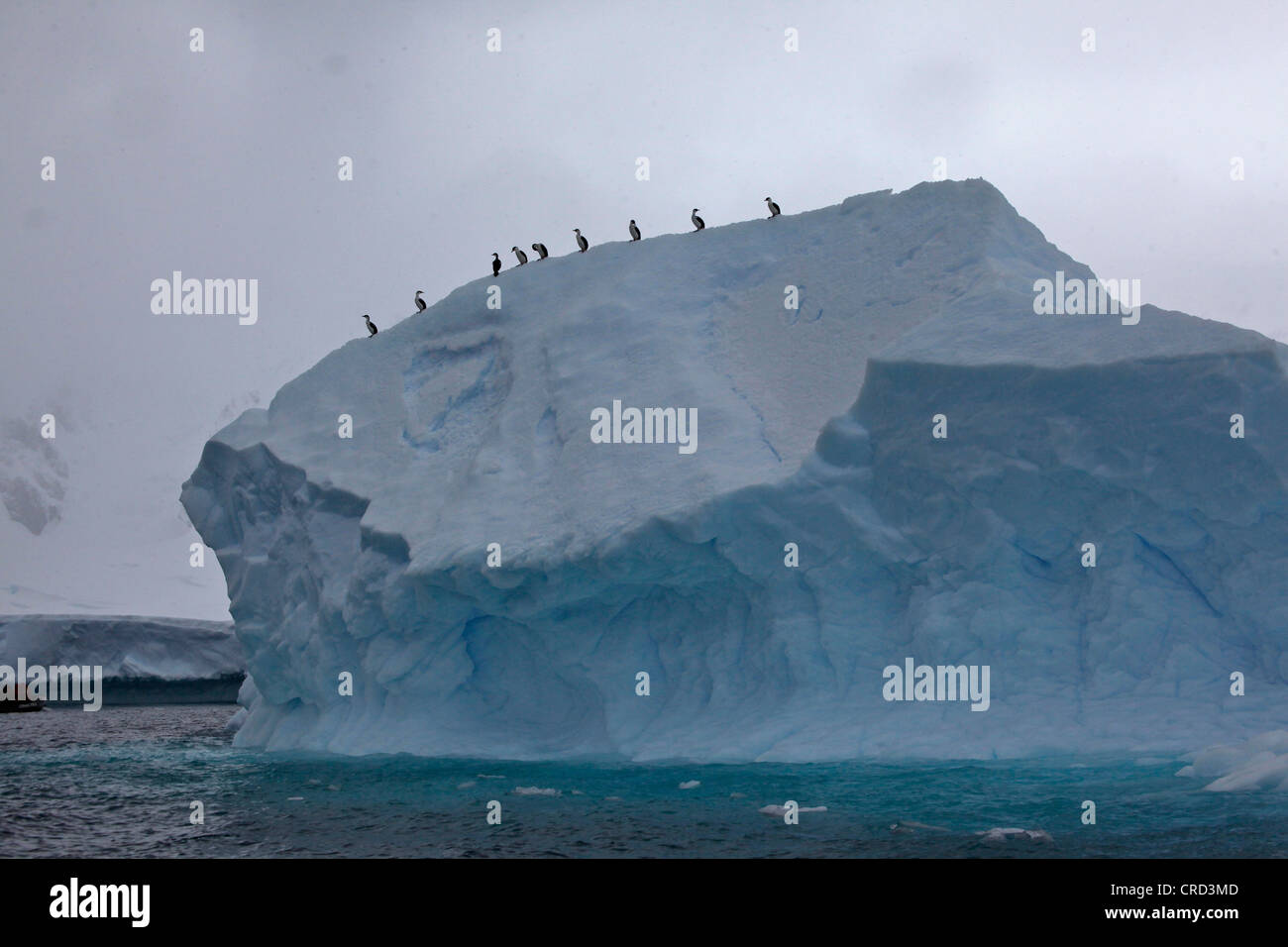 Eisberg, Antarktis Stockfoto