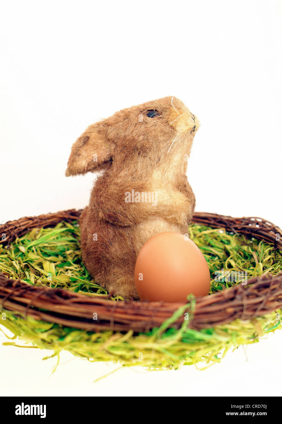 Ostern Hase und Henne Ei im nest Stockfoto