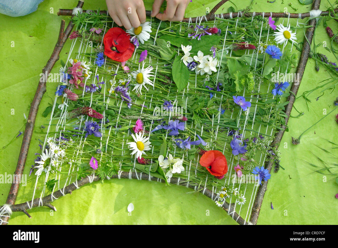 kleines Mädchen bauen einen digitalen Bilderrahmen mit Zweigen und Blumen, Serie Bild 6/7 Stockfoto