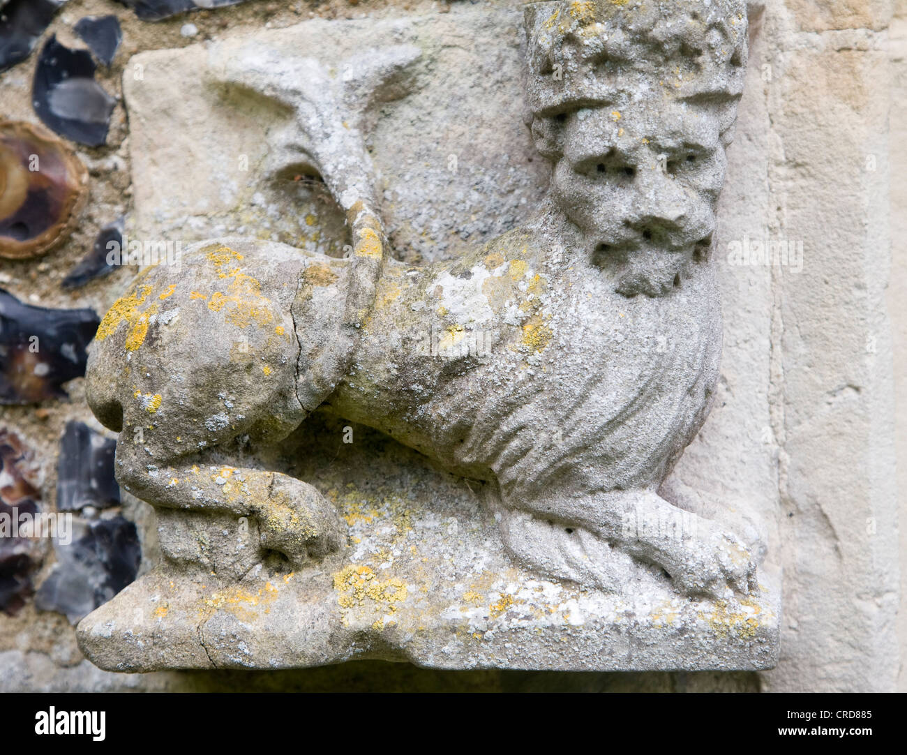 Gekrönte Löwe Kalkstein Steinbildhauen Fakenham Kirche, Suffolk, England Stockfoto