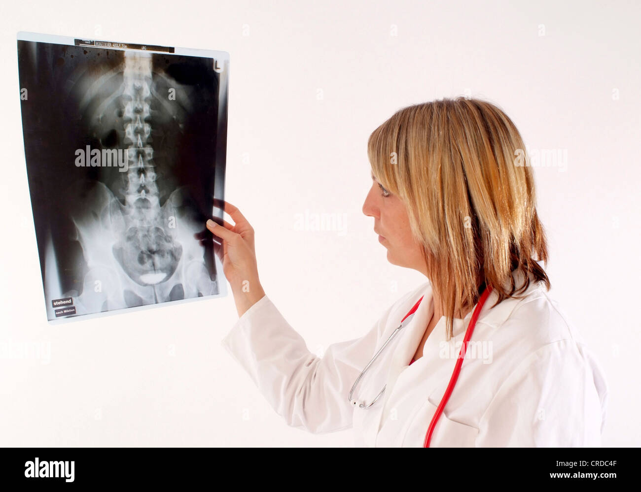 Frau Doktor mit Röntgen-backbone Stockfoto