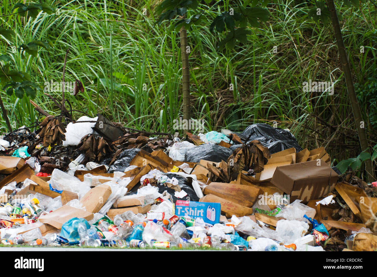Haufen Müll auf den Regenwald Stockfoto
