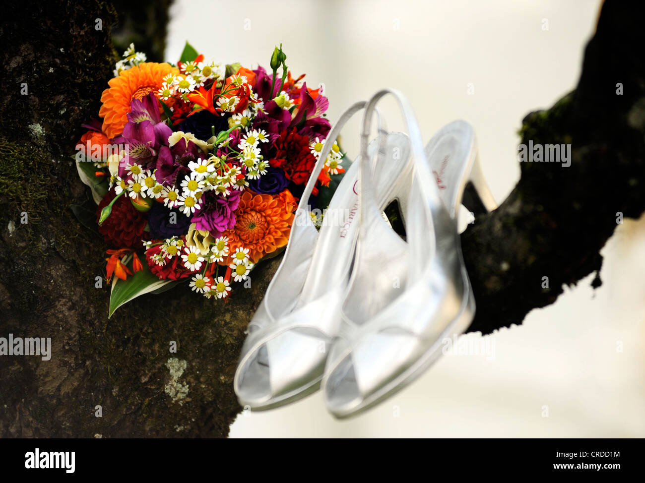 Bouquet und silberne Hochzeit Brautschuhe an einem Baum hängen Stockfoto