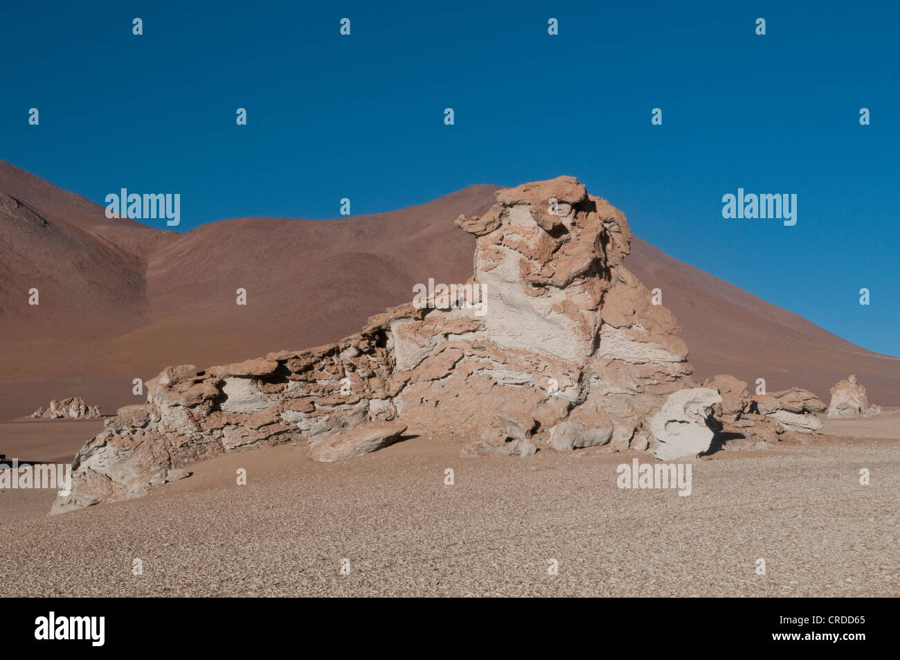 Felsformationen an Salvador Dali Wüste, Sud Lipez Bereich Stockfoto