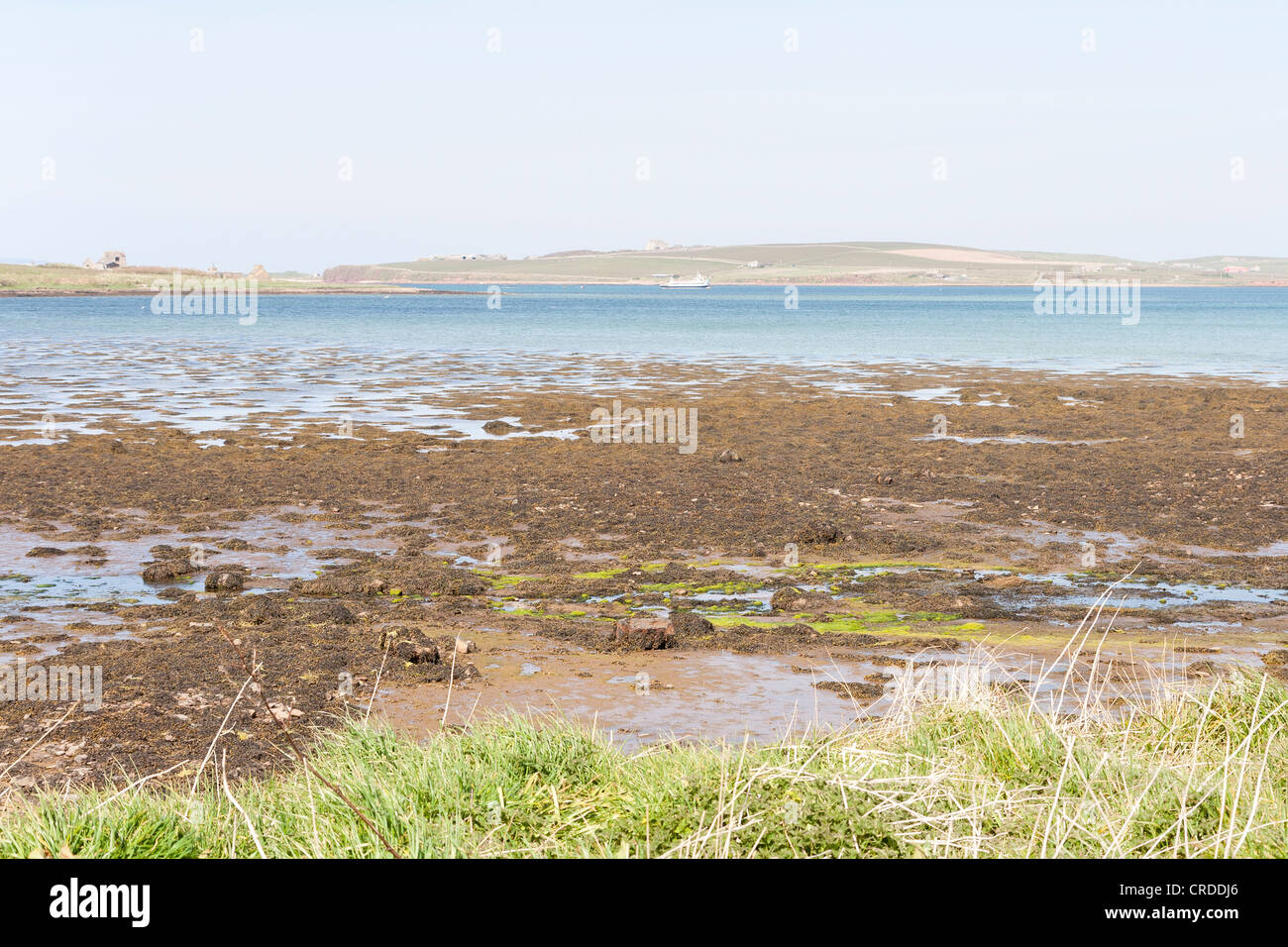 In der Nähe von Harrabrough, South Ronaldsay, Orkney Inseln Schottland Stockfoto