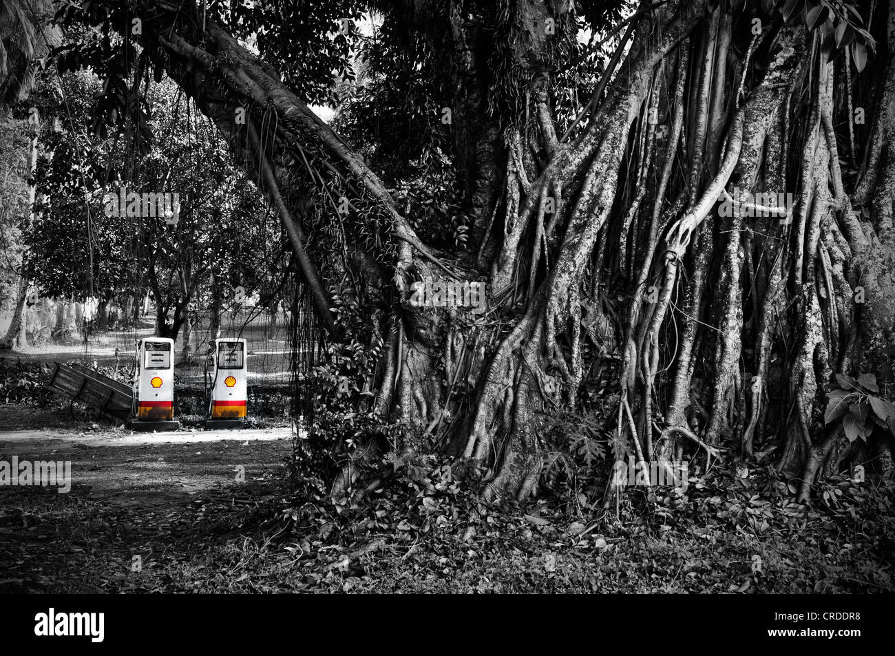 Shell-Tankstelle in den Dschungel in der Nähe von Luang Prabang, Laos, Südostasien, Asien Stockfoto