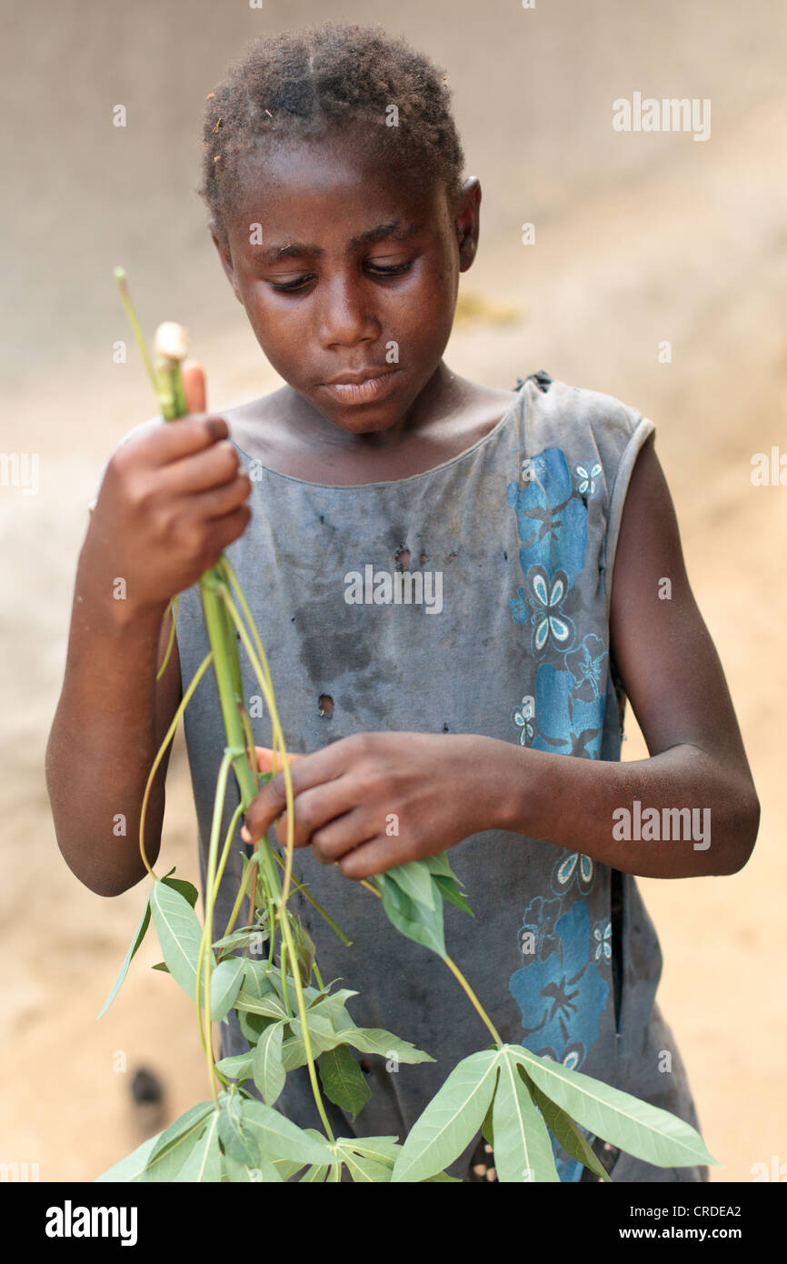 Tarah 7 bereitet Maniok-Blätter, wie sie mit ihrer Mutter Edith in ihrem Haus in dem Dorf Jenneh, Bomi County, Liberia Köche Stockfoto