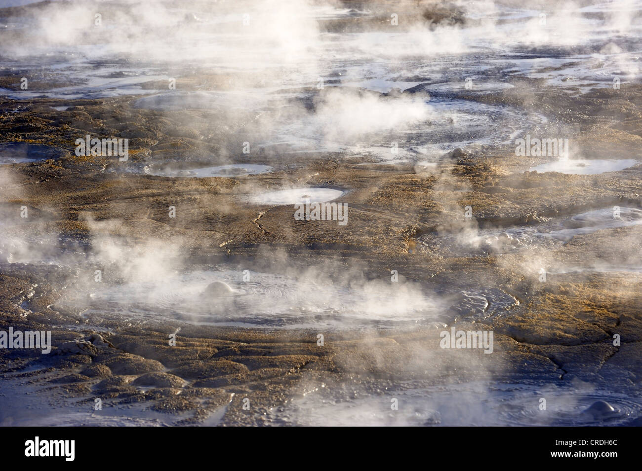 Geysire mit Wasserdampf, Uyuni, Bolivien, Südamerika Stockfoto