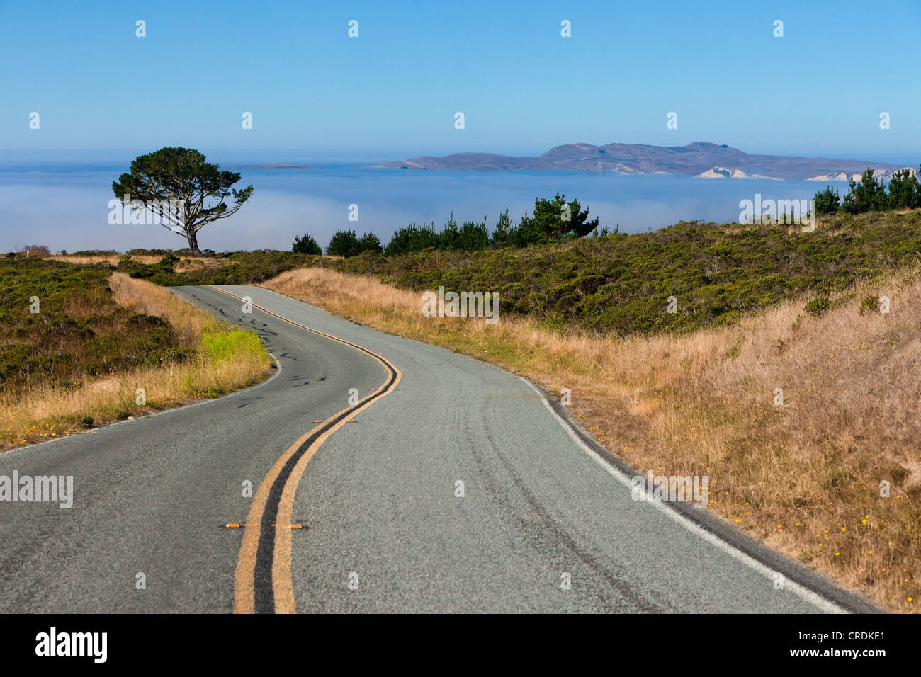 Straßen- und einem nebligen Küstenstreifen in Point Reyes National Seashore, Point Reyes, Kalifornien, USA, Nordamerika Stockfoto