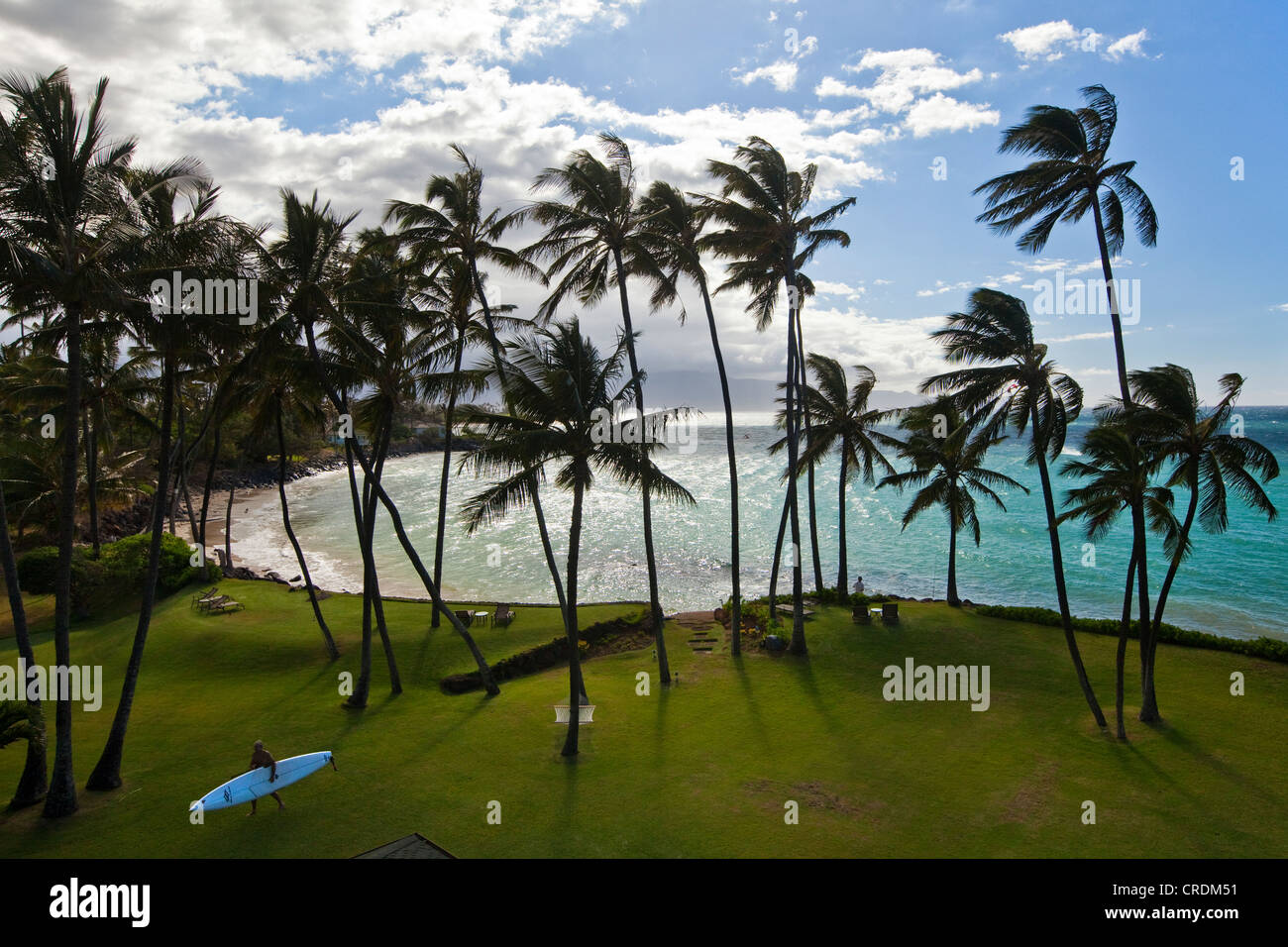 Surfer, so dass des Strands an der Pazifikküste auf der Insel Maui, Makawao, Hawaii, USA Stockfoto