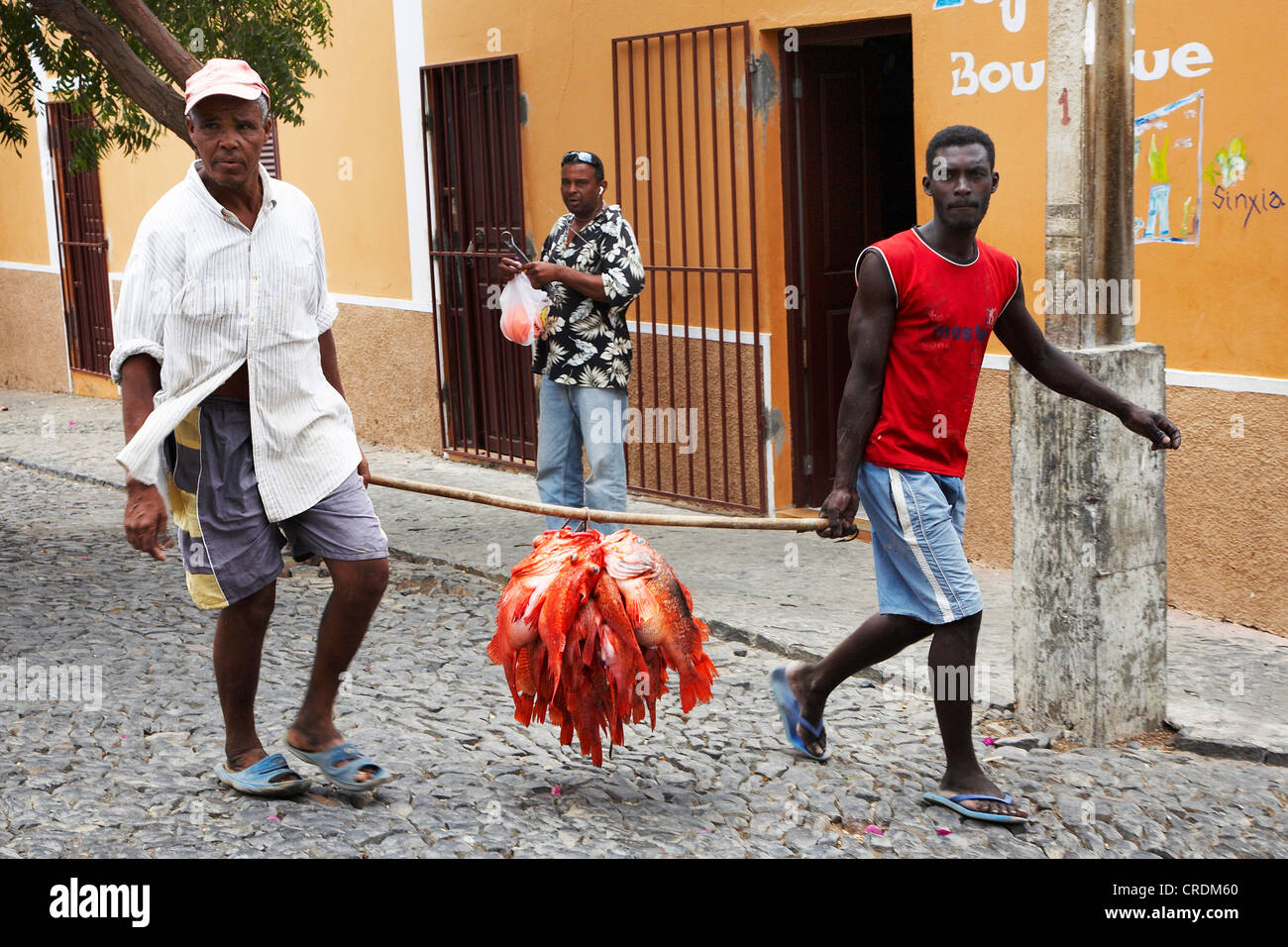 Männer mit Fischen auf dem Markt, Cap Verde Inseln, Cabo Verde, Fogo, Sao Filipe Stockfoto