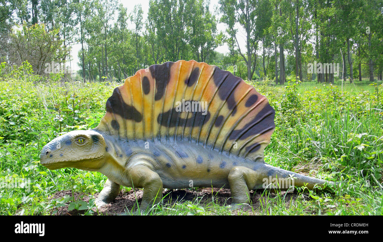 Edaphosaurus (Edaphosaurus), Säugetier wie Reptilien, auf der die ersten terrestrischen herbivors Stockfoto