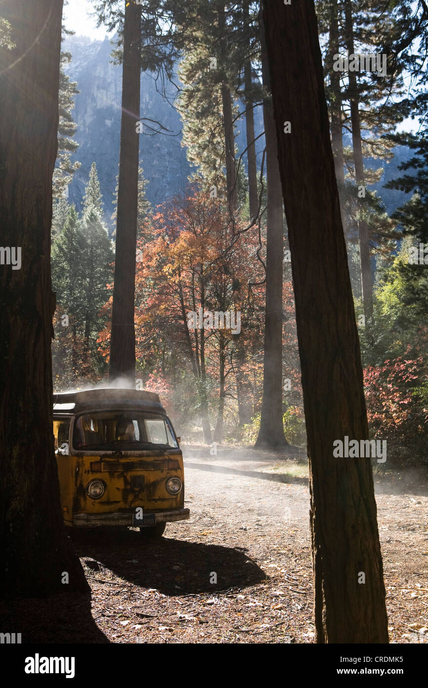 Alten VW-Bus zwischen den Bäumen am Morgen nach einem Regentag, Yosemite Village, Kalifornien, USA Stockfoto