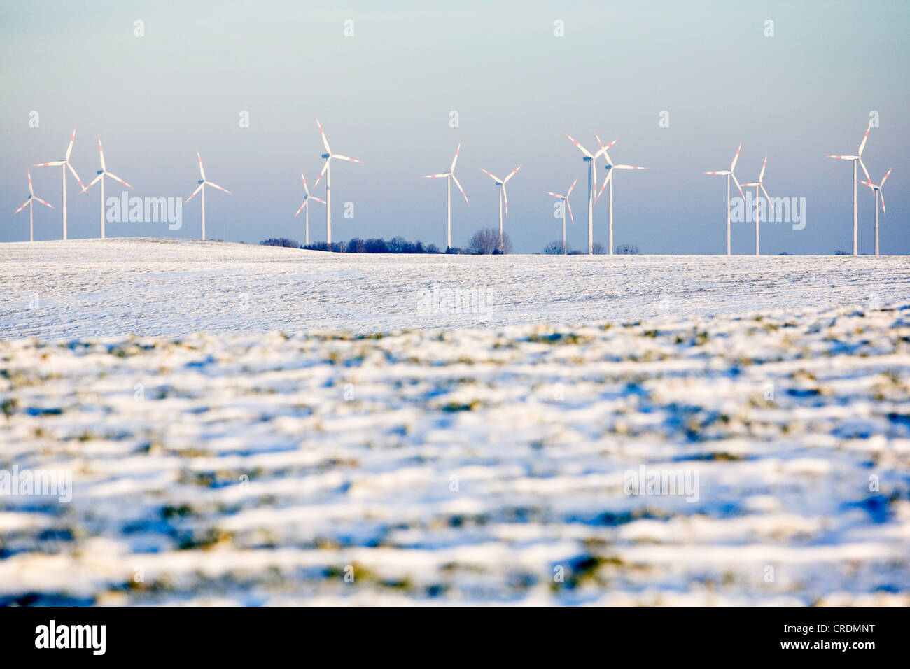 Windenergieanlagen der Uckermark Kraftwerk in einem verschneiten Countyside, Strom aus Windkraft von der ENERGTRAG AG Stockfoto