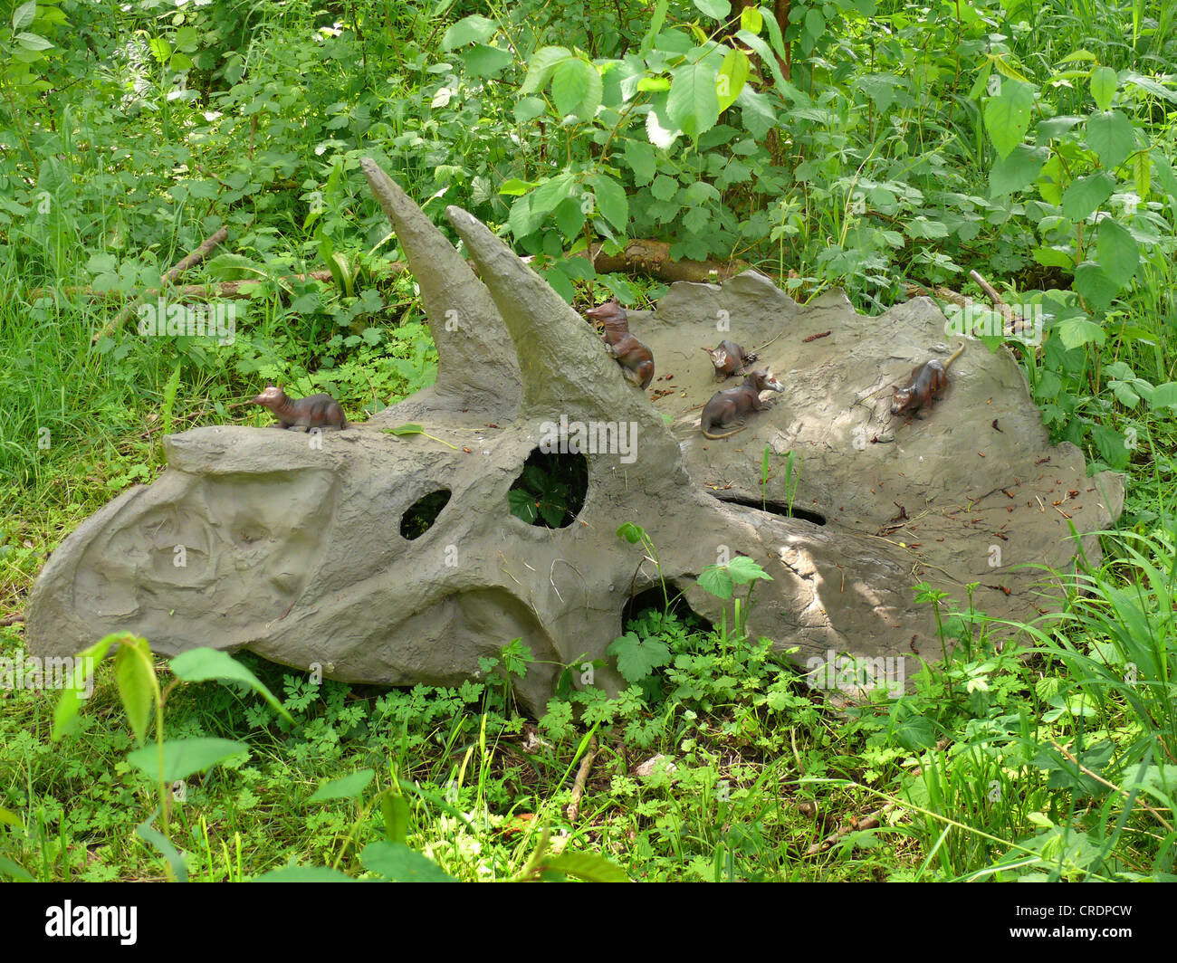 Purgatorius (Purgatorius), auf einem Schädel eines Dinosauriers, eines der ältesten bekannten Primaten Stockfoto