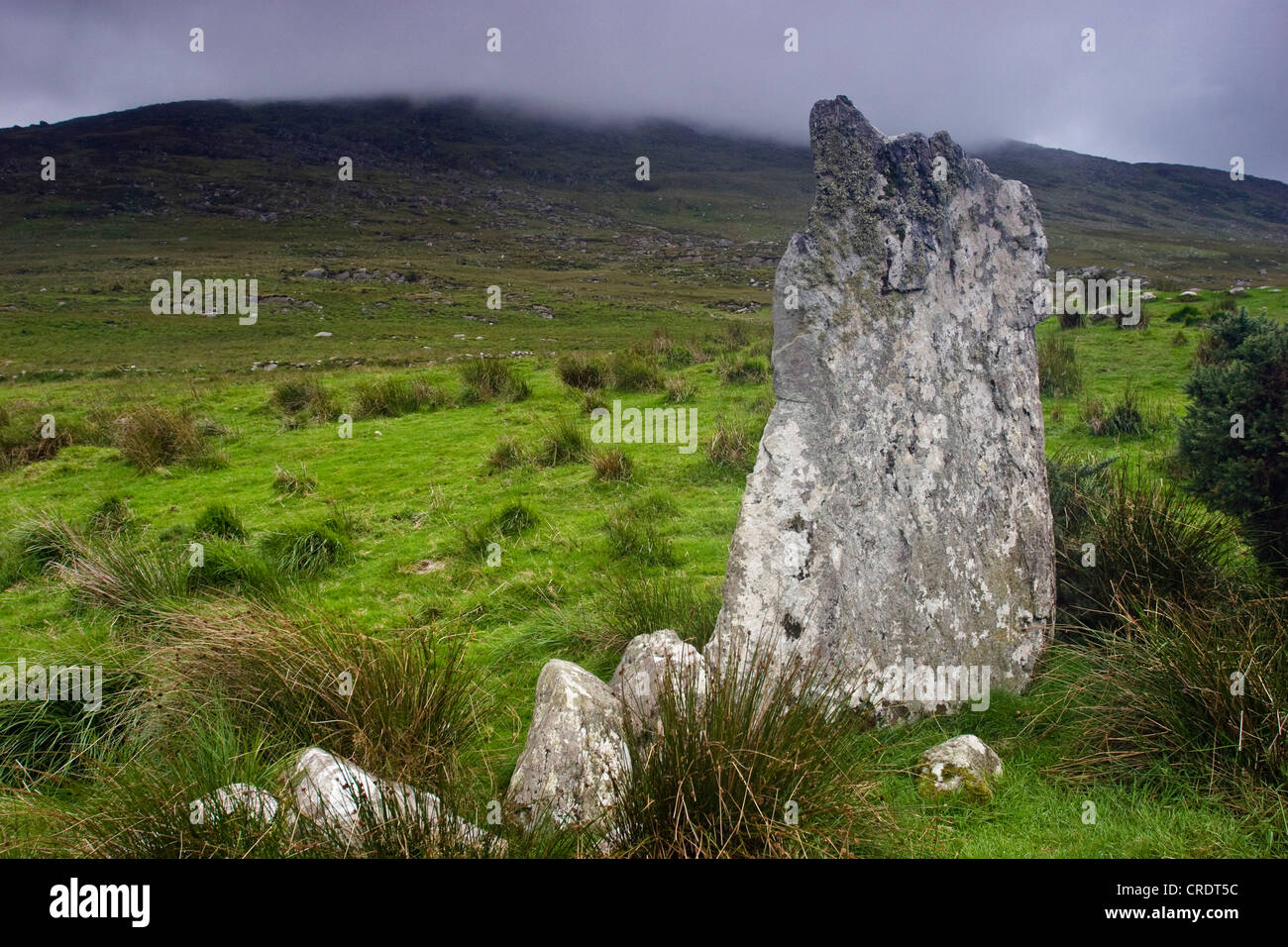Ardgroom Stone Circle, Irland, Cork, Beara-Halbinsel, Ardgroom Stockfoto