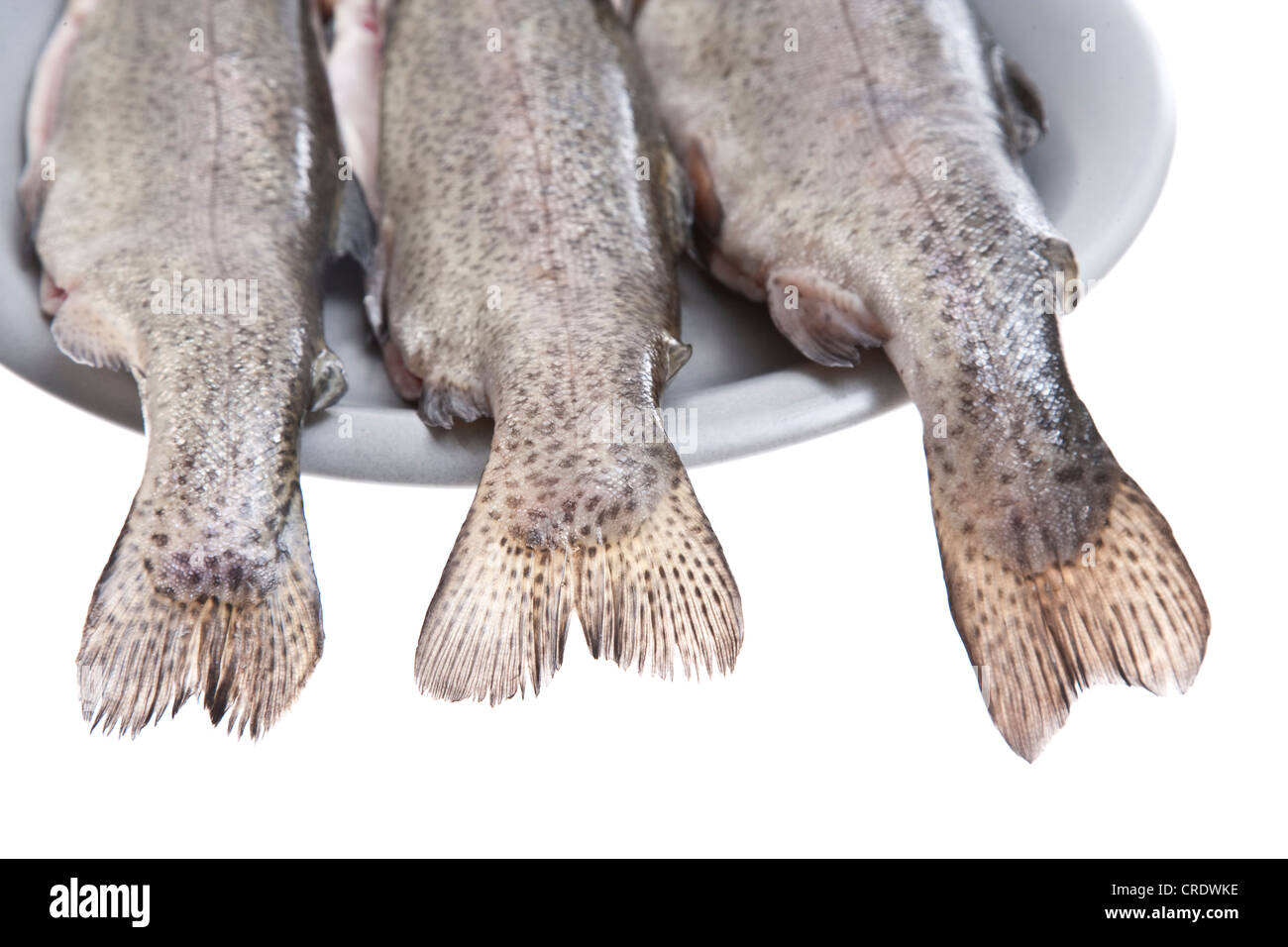 Drei Zeichen Fische (Namaycush) auf einer grauen Platte Stockfoto