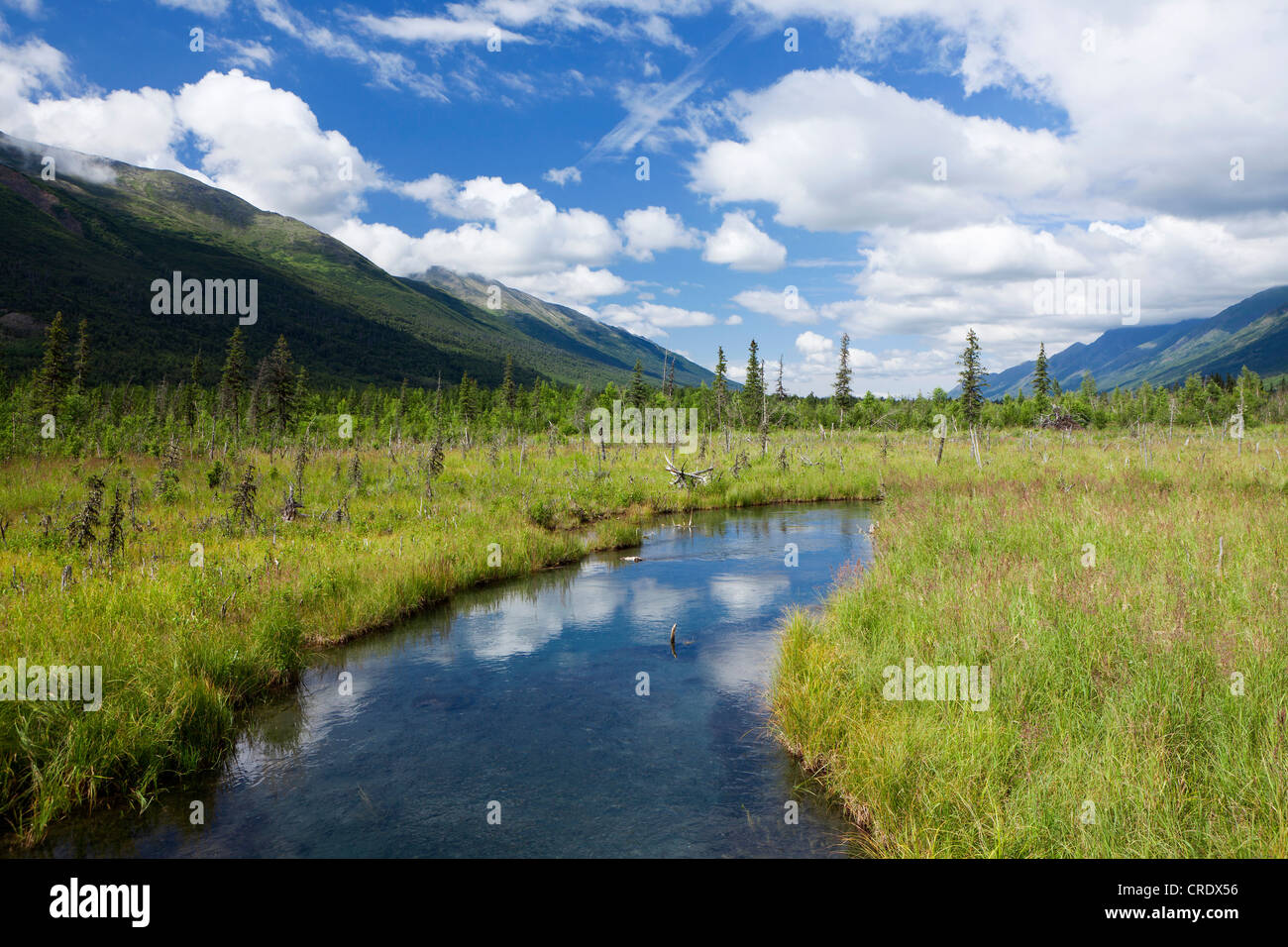 Kleiner Fluss in der Nähe von Eagle River im Chugach State Park in Alaska, USA Stockfoto