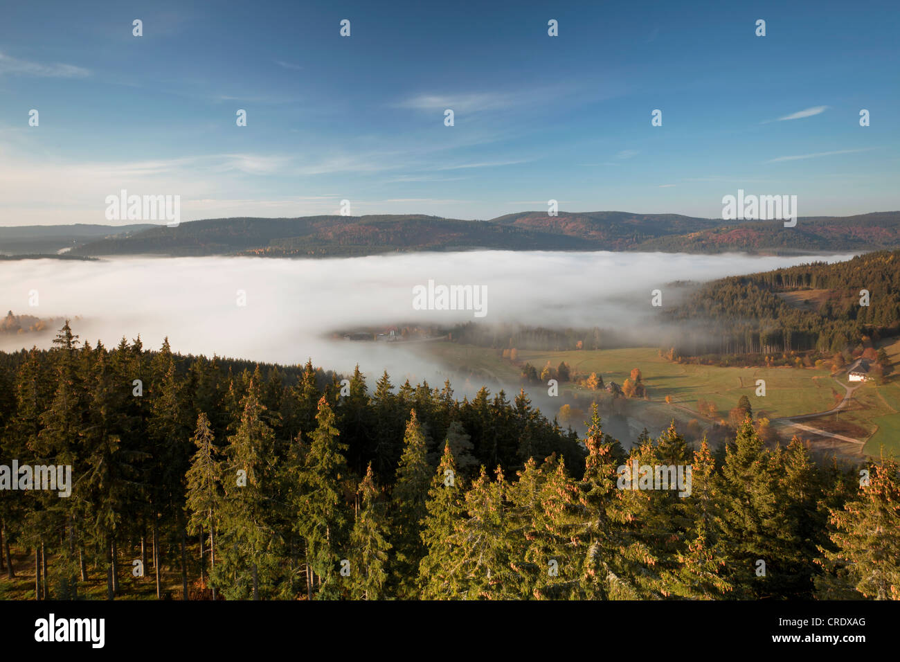 Frühe trüben Herbstmorgen am Schluchsee See von Riesenbuehl Aussichtsturm, Schwarzwald, Baden-Württemberg, PublicGround Stockfoto