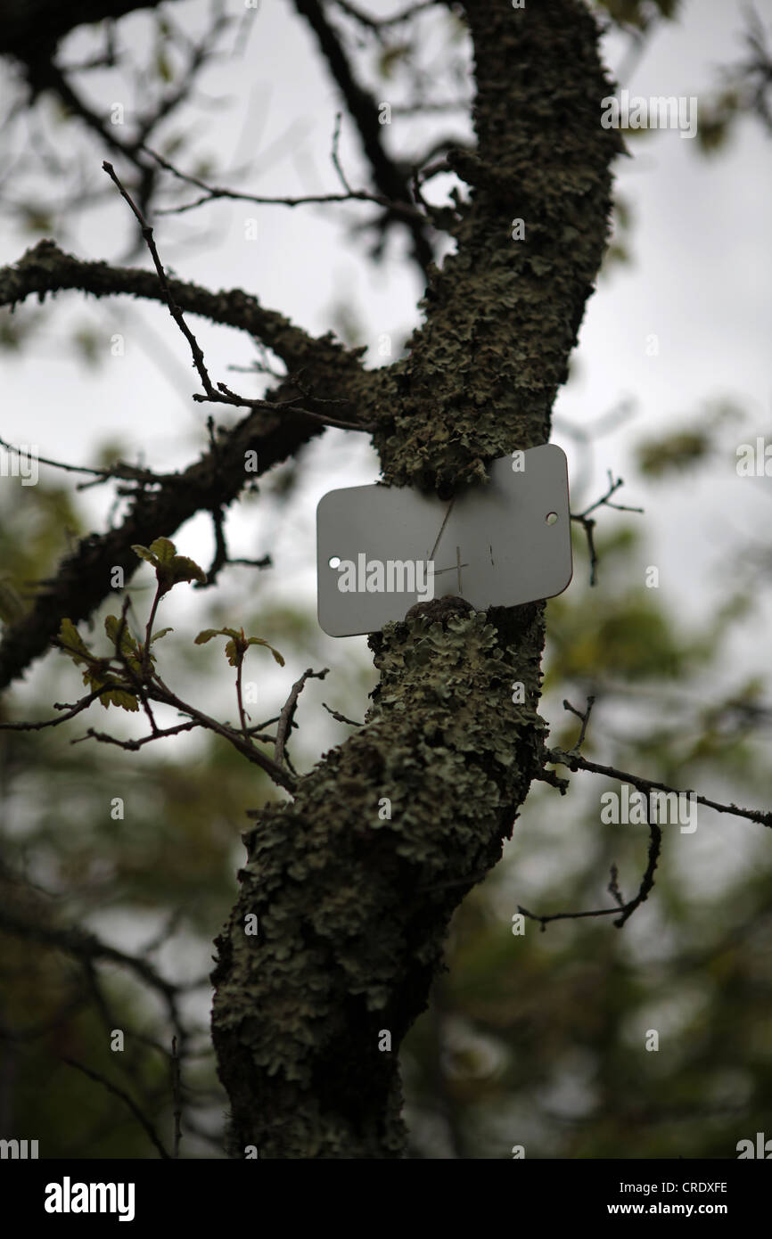Metallische Plaque eingebettet in einem Baum - Ardèche - Frankreich Stockfoto