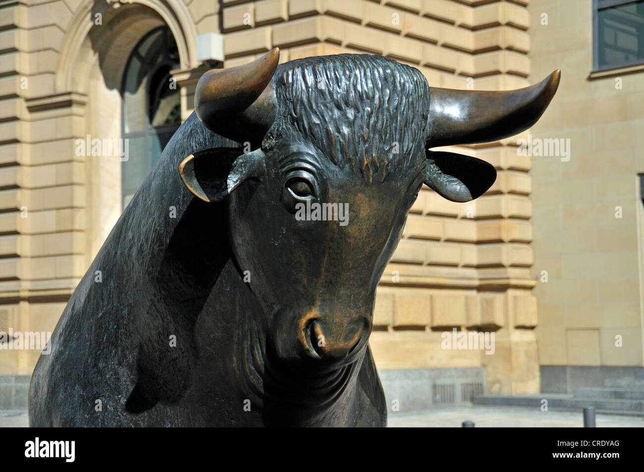 Stier, Symbol der Aktie zu vermarkten, Skulptur, Boersenplatz Straße, Frankfurt am Main, Hessen, Deutschland, Europa Stockfoto