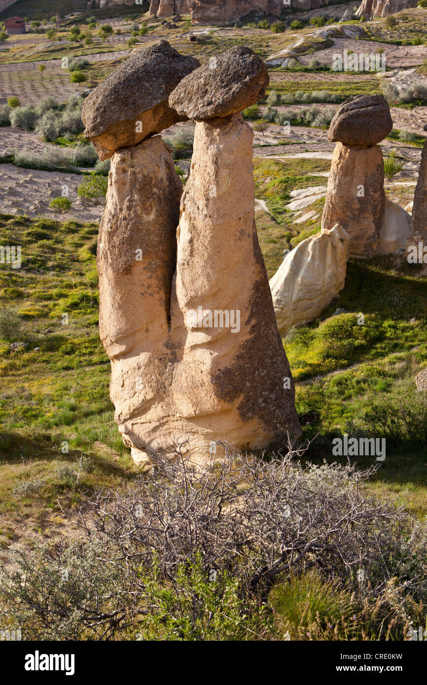 Tuffstein Feenkamine mit Basalt-Blöcke platziert an der Spitze, Felsformationen am Cavushin, Göreme, UNESCO-Weltkulturerbe Stockfoto
