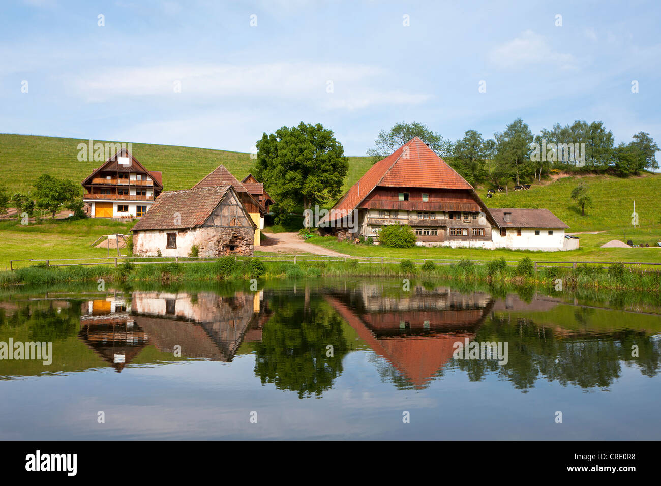 Bauernhof in der Nähe von Hornberg im Schwarzwald, Baden-Württemberg, Deutschland, Europa, PublicGround Stockfoto