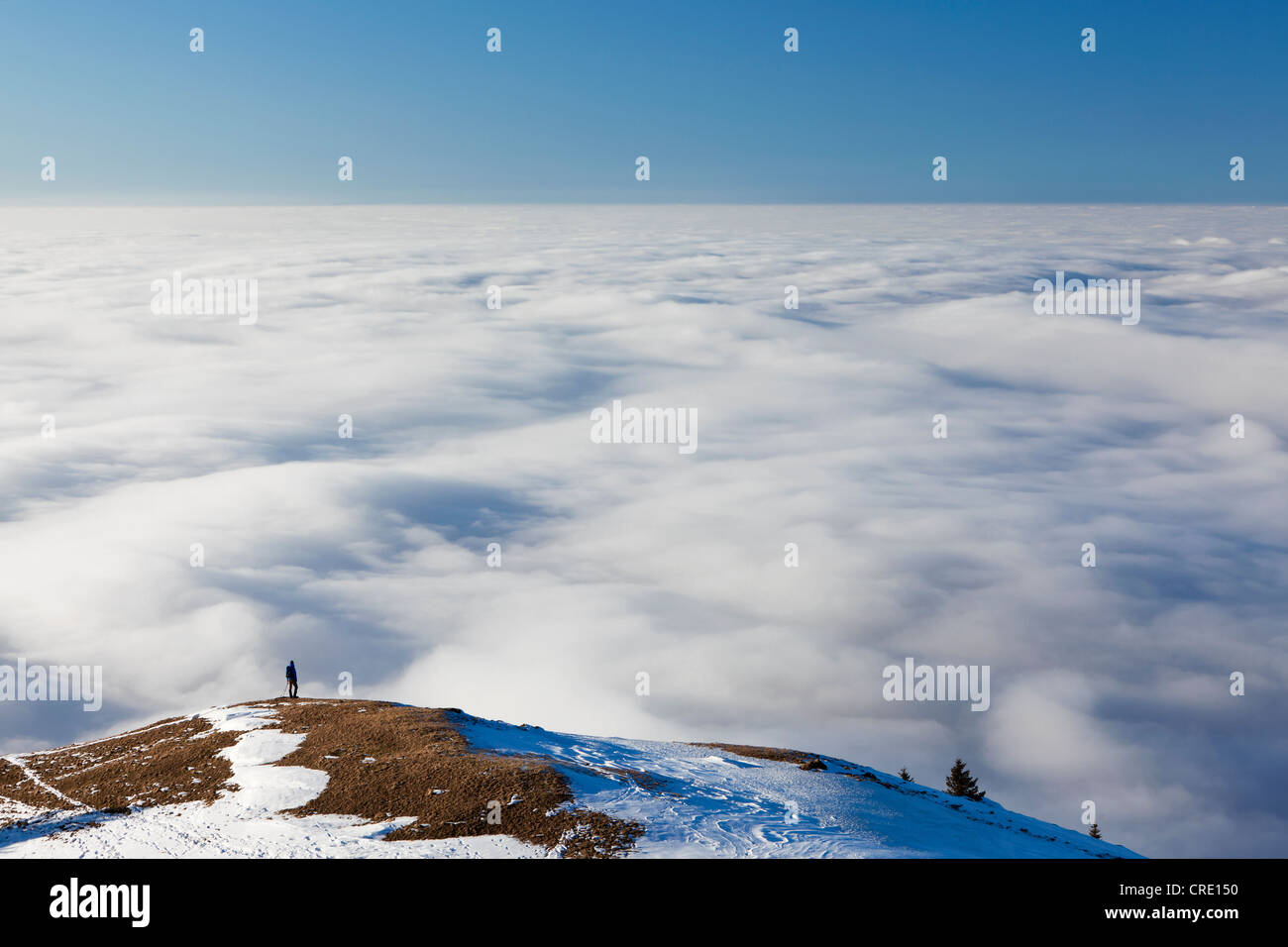 Einsame Wanderer zu Fuß über ein Nebelmeer, niedrige Wolken am Faehnerenspitze Berg in der Appenzeller Region, der Schweiz, Europa Stockfoto