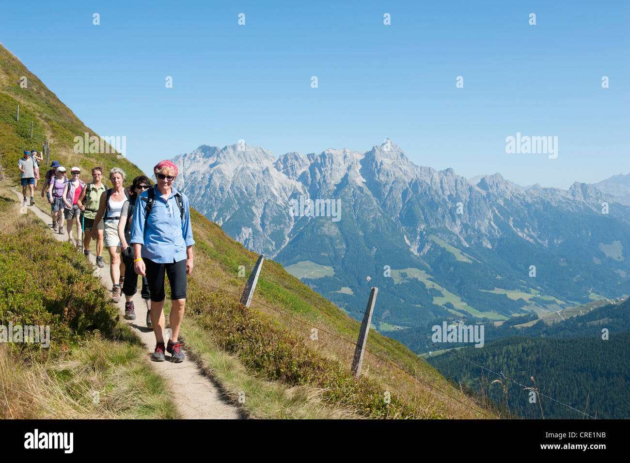 Wandergruppe zu Fuß über einen schmalen Pfad, der nördlichen Kalkalpen, vor Leogang Stein Berge, Alpen Stockfoto