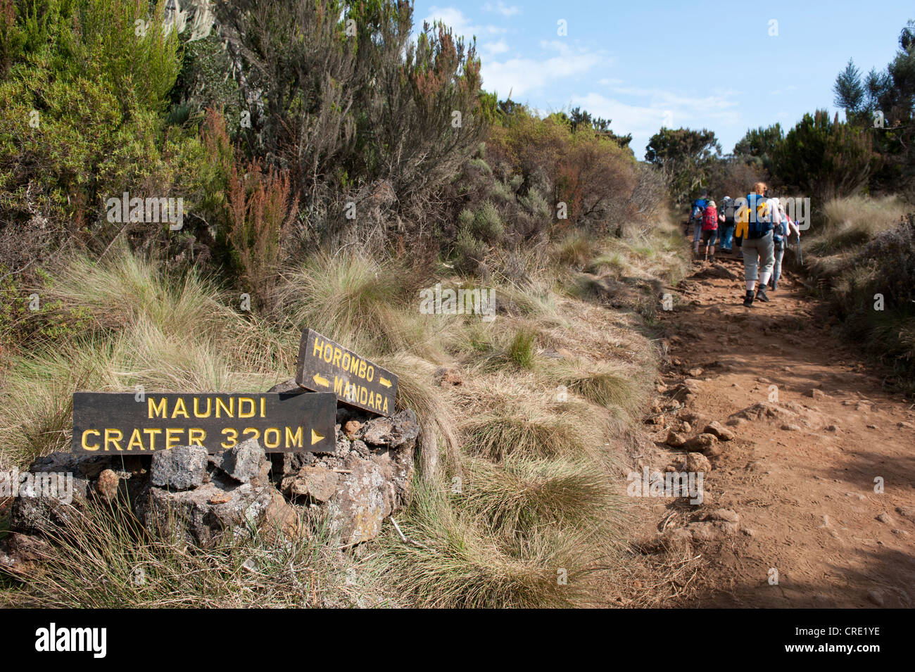 Trekking, melden Sie für Maundi Crater, Touristen auf trekking-Route, Mandara Hütte, Marangu Route, Kilimandscharo-Massiv, Tansania Stockfoto