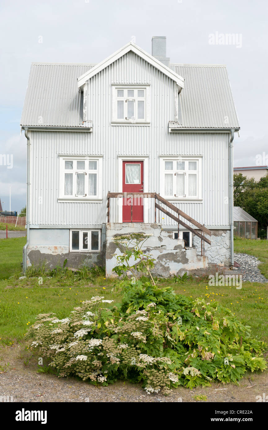 Graues Haus aus Wellblech in Hoefn, Island, Skandinavien, Nordeuropa, Europa Stockfoto