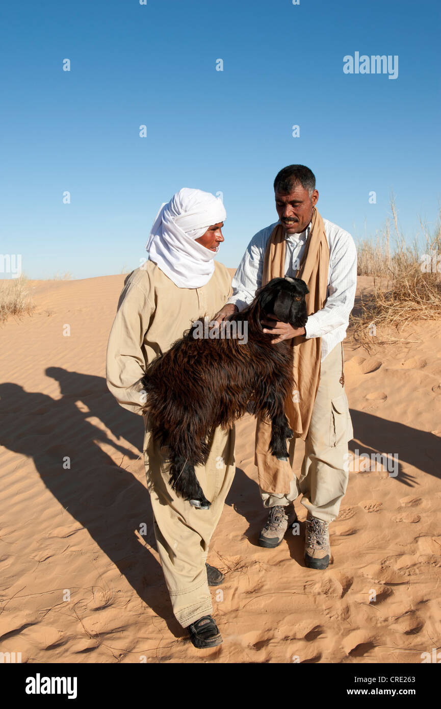 Beduinen hielt eine junge Ziege in seinen Armen, Sanddünen, Sahara Wüste zwischen Douz und Ksar Ghilane, Süd-Tunesien, Tunesien Stockfoto