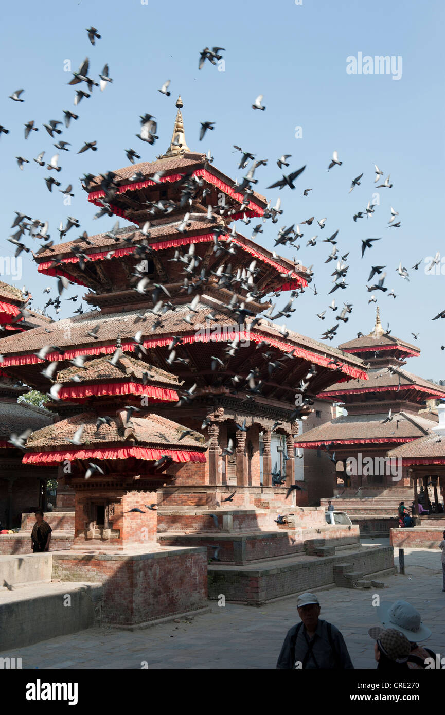 Hinduismus, viele Tauben fliegen vor einem Hindu-Tempel, drei nepalesische Pagode, Platz vor der Hanuman Dhoka Stockfoto