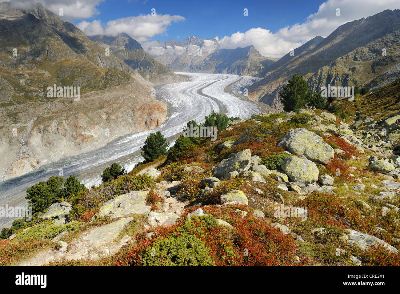 Großen Aletschgletscher, UNESCO-Weltnaturerbe Jungfrau-Aletsch-Bietschhorn Region, Goms, Wallis, Schweiz Stockfoto